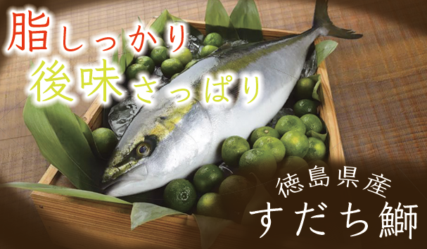 徳島県産ブランド すだち鰤_天然ブリ 旬